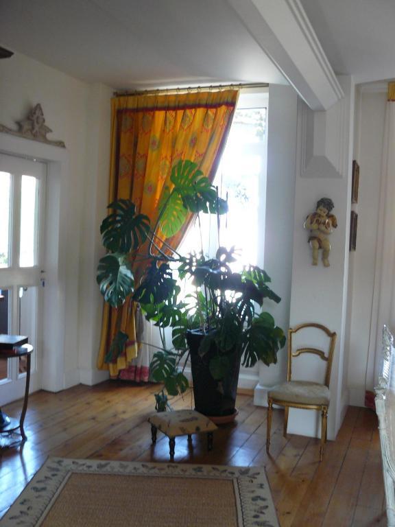 Chambres D'Hotes L'Albinque Castres  Dış mekan fotoğraf